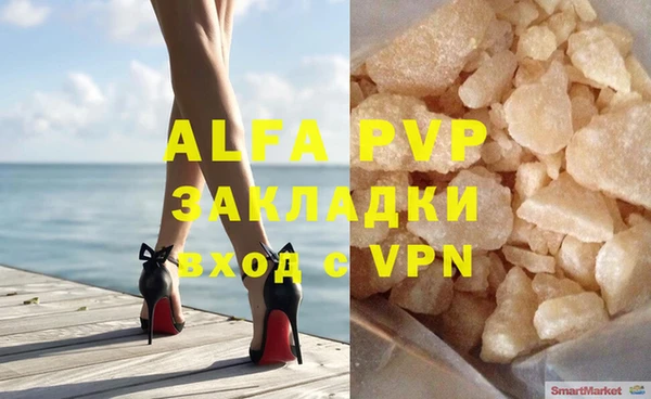 стафф Новокубанск