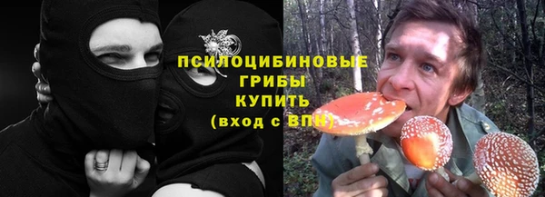 spice Арсеньев