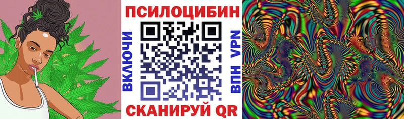 Галлюциногенные грибы мицелий  хочу наркоту  Макаров 